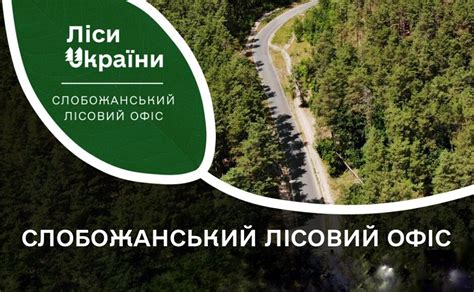 Запрацював Слобожанський лісовий офіс - Решетилівщина.UA