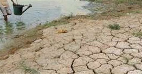 Biodiversidad En Am Rica Latina Los Cinco Temas Prioritarios Para La Investigaci N Y La Acci N