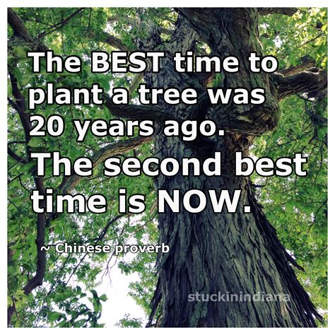 The Best Time To Plant A Tree Was 20 Years Ago The Next Best Time Is