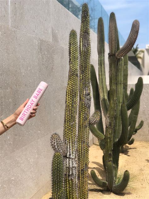 Birthday Babe Slim Flask Stainless Steel Water Bottle Etsy