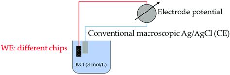 Schematic Representation Of The Open Circuit Potential OCP