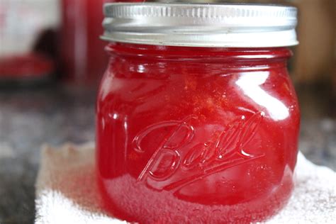 Prickly Pear Jelly — Practical Self Reliance