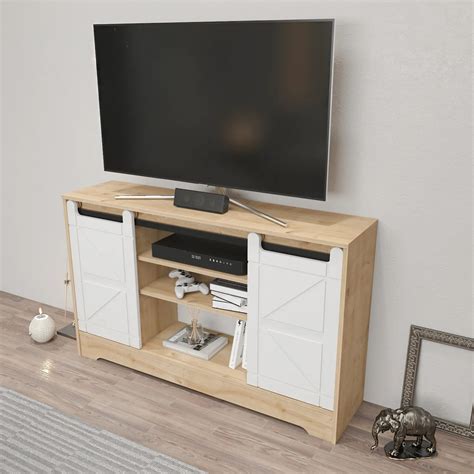 Ahris 55 inch Wide TV Stand Media Console with Sliding Barn Doors for