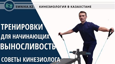 2. Тренировки для начинающих.Выносливость. Советы кинезиолога. - YouTube