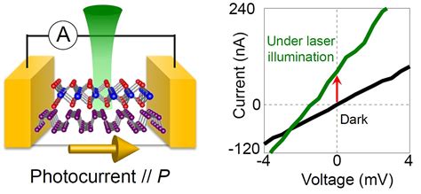 Polarized Photovoltaic Properties Emerge In 2D Materials May Be