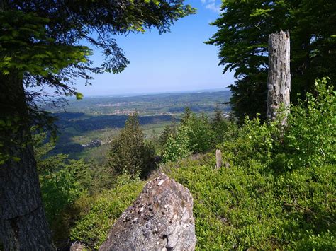 Vosges Raon L Tape Une Chasse Aux Tr Sors Pour La F Te De L