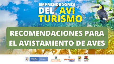 Emprendedores Del Aviturismo Recomendaciones Para El