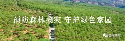 【森林防火】丽江市森林草原防灭火指挥部警示教育片 关注森林