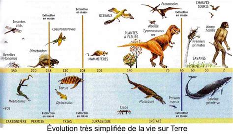 Une étape Importante Dans La Compréhension De Lémergence De La Vie Sur