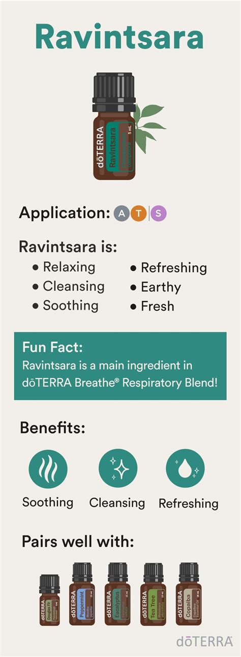 Ravintsara Essential Oil Doterra Essential Oils Recipes Doterra