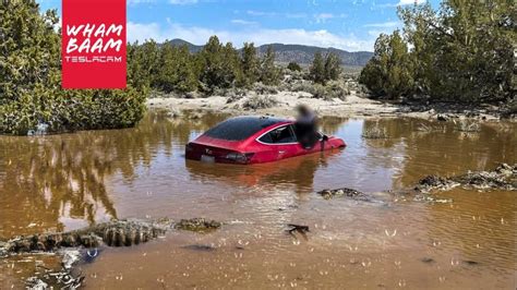 Ignora las señales y acaba con su Tesla Model 3 dentro del agua