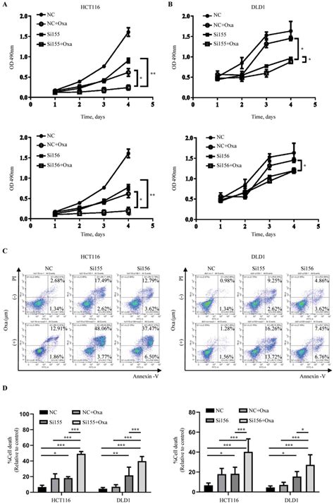 Efficacy And Mechanism Of Combination Of Oxaliplatin With PKM2