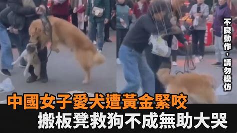 中國女子未牽繩釀禍！巴哥愛犬遭黃金緊咬猛甩 搬板凳救狗被阻擋大哭－民視新聞 Youtube