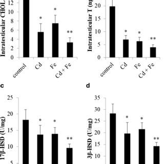 Effects Of Cadmium Cd Mg Kg Bw And Iron Fe Mg Kg Bw Intake