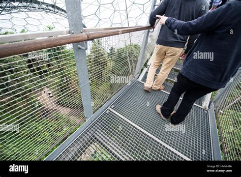 Lookout Platform Rainforest Biome Eden Project Stock Photo Alamy