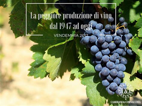 Vendemmia 2017 La Peggiore Produzione Di Vino Dal 1947 Ad Oggi