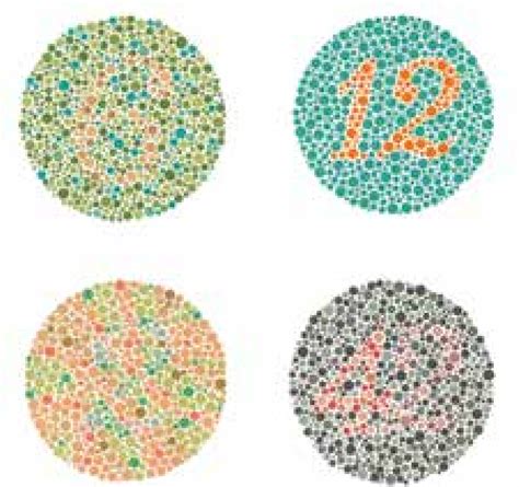 Color Perception Test: Example of an Ishihara color test plate,... | Download Scientific Diagram