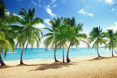 Santo Domingo Este, Dominican Republic 2024: Best Places to Visit ...