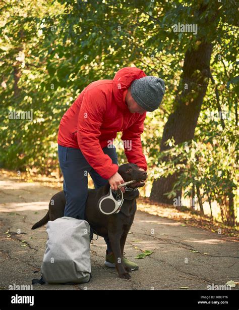 walking the dog in the Park Stock Photo - Alamy