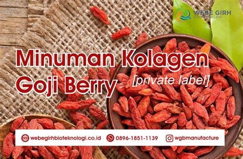 Maklon Minuman Serbuk Kolagen Dengan Kandungan Goji Berry Premium