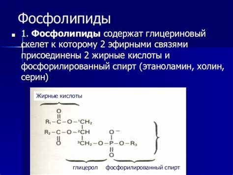 Клеточные мембраны Транспортные системы презентация, доклад