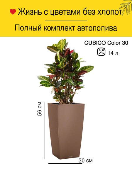 LECHUZA CUBICO Color 30 Кашпо с автополивом / кашпо для цветов ...