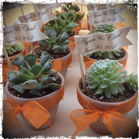 succulessence: succulent wedding favors