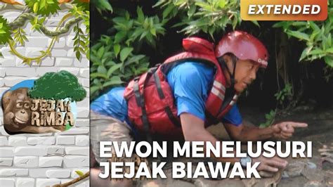 Perlahan Steve Ewon Menelusuri Jejak Biawak Jejak Rimba Eps