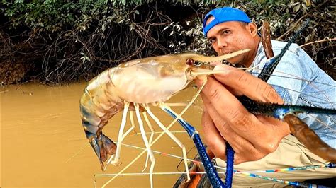 MENGERIKAN SEBESAR APA UDANG GALAH INI SENAR PANCING SAMPAI PUTUS