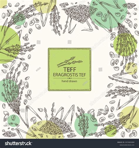 Background with teff: plant , leaves and teff - Royalty Free Stock Vector 2074965880 - Avopix.com