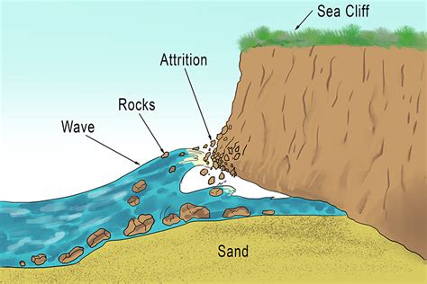 Diagram Of Abrasion Geography