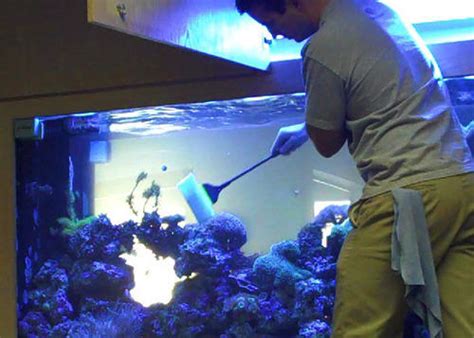 Aquarium Maintenance - A R Exotics