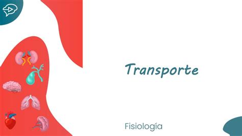 Transporte Activo Y Pasivo Hemostudent Udocz