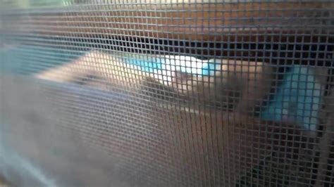 HOT WIFE CAUGHT MASTURBATING IN JUNGLE TUB THEN ORGASMS FOR CAMERA Porn Videos