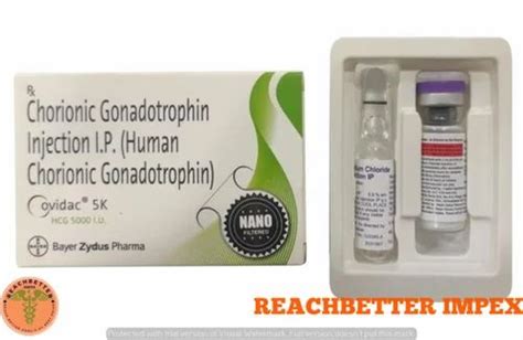 Ovidac K Injection Human Chorionic Gonadotropin Injections Hcg