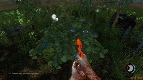 Купить The Forest (Форест) со скидкой до -28% и более. Найди ключи по ...