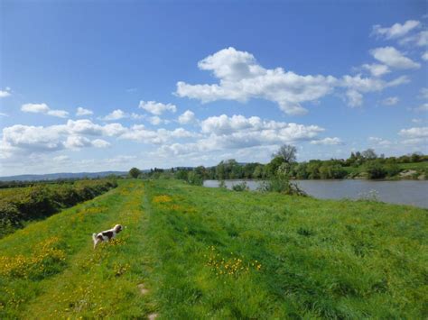 The Severn Bore Tidal Wave In Gloucestershire Uk 2023