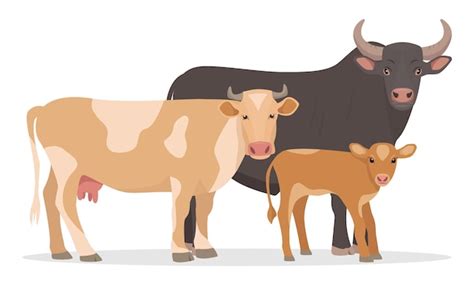 Premium Vector | Red Cow with Calf and black Bull Baby cow with mother and father Cattle Breeds ...