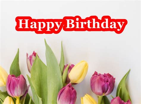 75 Best Happy Birthday Flowers With Quotes For Good Day Funzumo