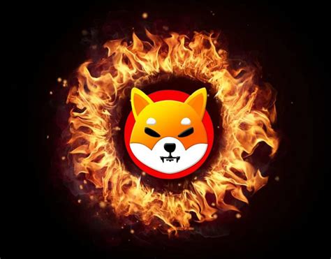 Shiba Inu Team Comments About Burning Trillion Shib Tokens