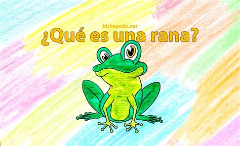 Qu Es Una Rana Anfibios Y Reptiles Para Ni Os