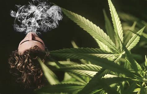 7 Uncommon Ideas for New Weed Smokers