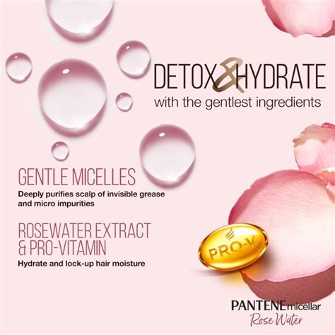 Pantene Micellar Detox And Hydrate With Rose Water Extract Light Conditioner Protect Hair From