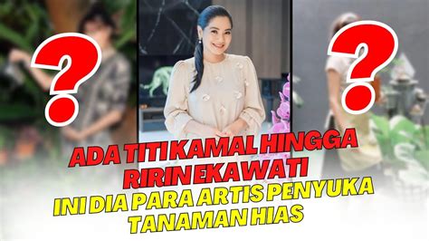 BIASANYA PARA ARTIS HOBI KOLEKSI BARANG BRANDED 5 ARTIS INI JUSTRU