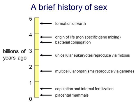 Unib30004 Sex Science And The Community Ppt Video Online Download