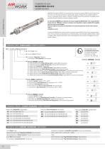 V Rin Pneumatique Mc Airwork Pneumatic Equipment Piston