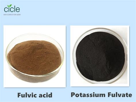 Difference Between Mineral Fulvic Acid And Biological Fulvic Acid