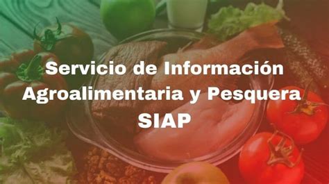 SIAP Servicio de Información Agroalimentaria y Pesquera 2025