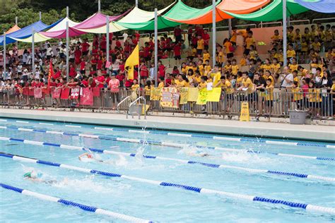 Photo Swimming Gala 2016 Fz2a9520