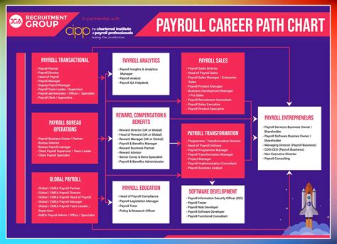 Payroll Careers Path Chart Career Progression Cipp